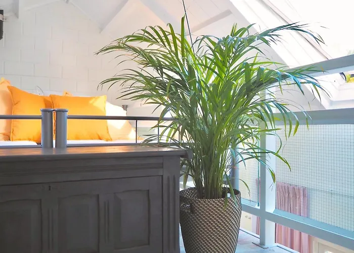 Ter Duyn דירה אאודורפ