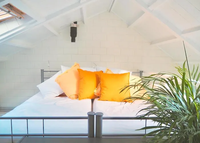 Ter Duyn Apartamento